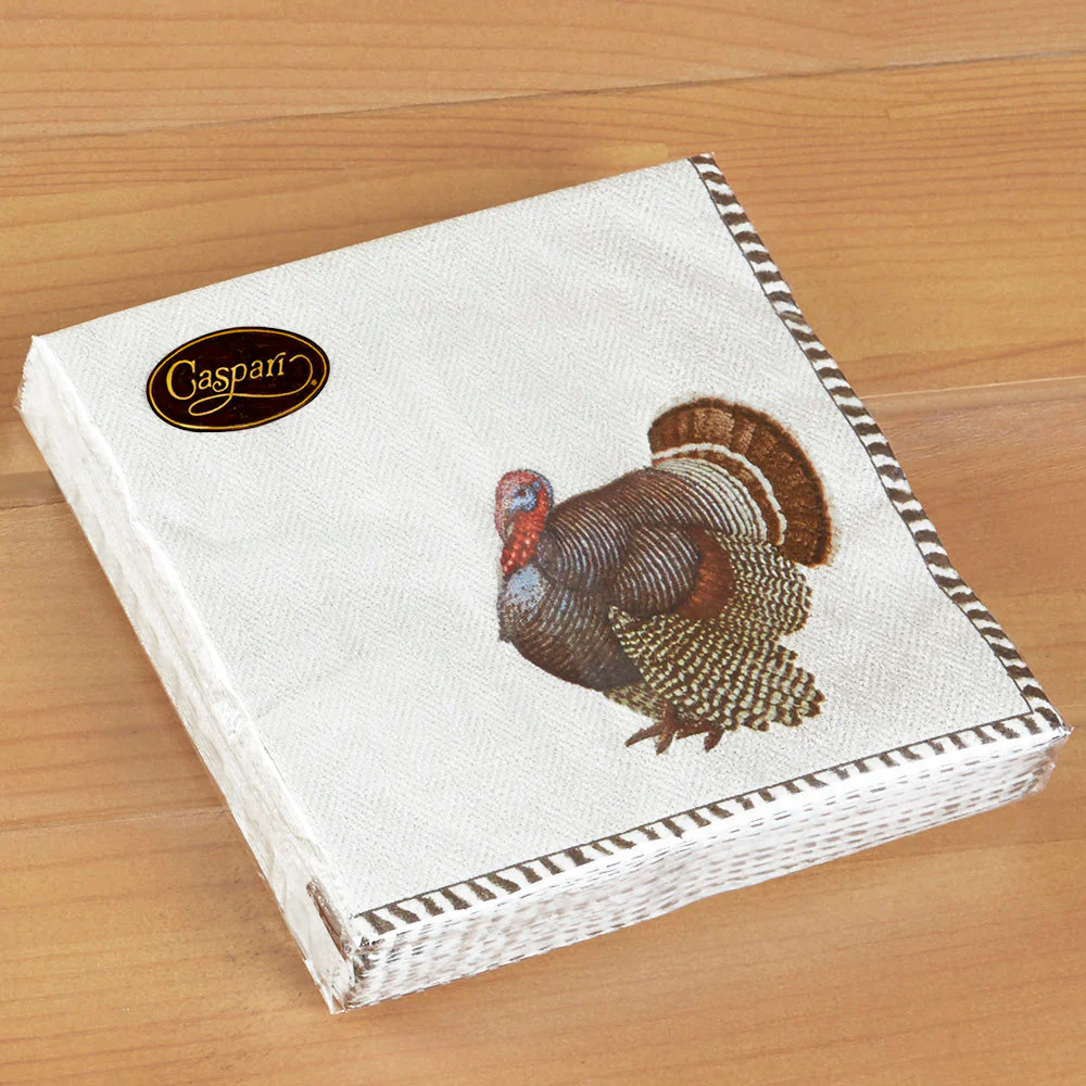 Caspari Paper Napkins - Thomas T. Byrd Turkey - Image 2