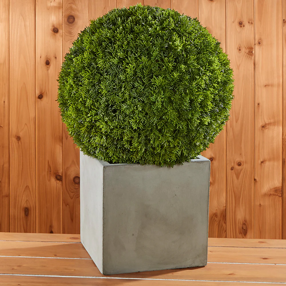 Cedar Ball in Concrete Cube Pot - Image 2