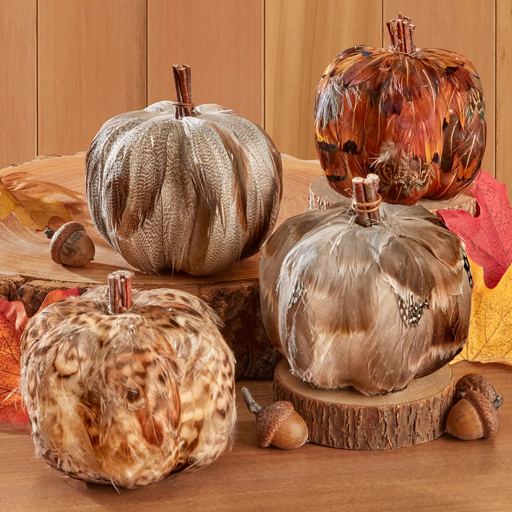 Feathery Harvest Pumpkins - Image 5