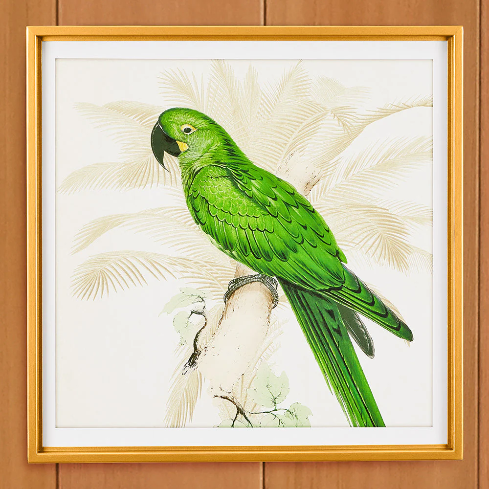 Green Parrot Framed Print - Image 3