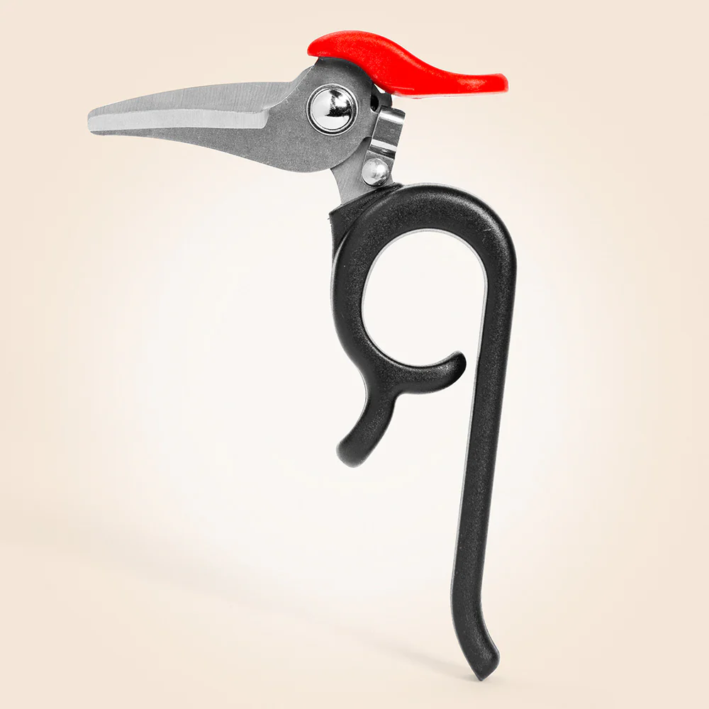 Kikkerland Woodpecker Garden Shears - Image 2