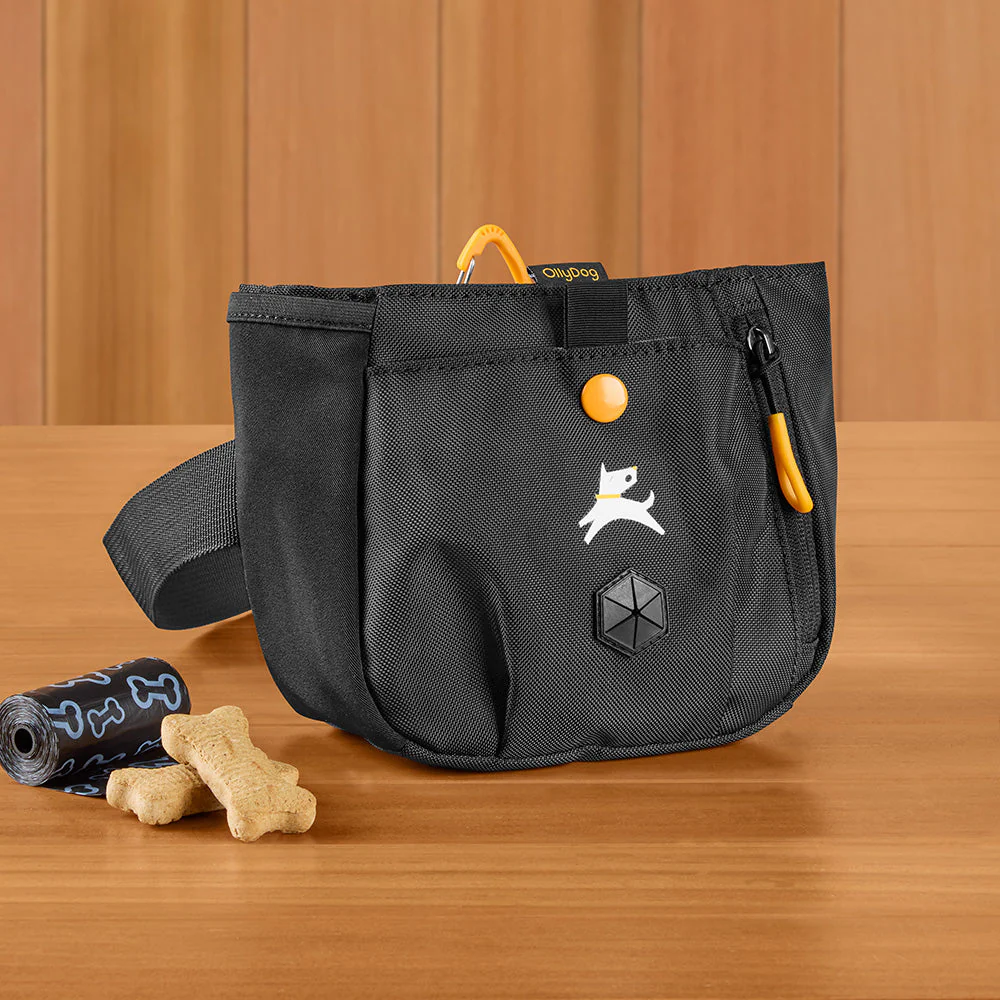 OllyDog Backcountry Day Bag Dog Walk Belt - Image 4