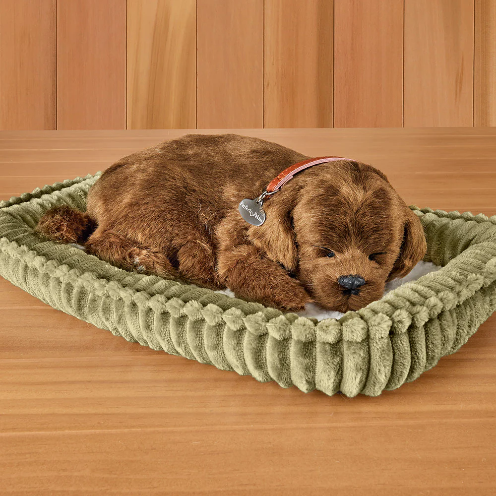 Perfect Petzzz Sleeping Puppy - Image 7