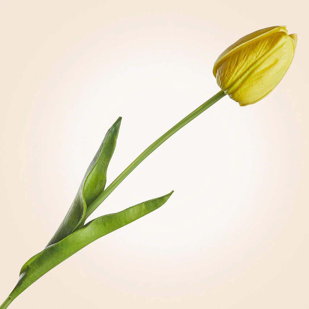 Real Touch Faux Tulip Stem, 15"