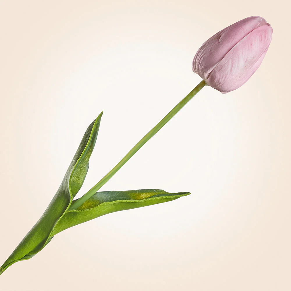 Real Touch Faux Tulip Stem, 15" - Image 3