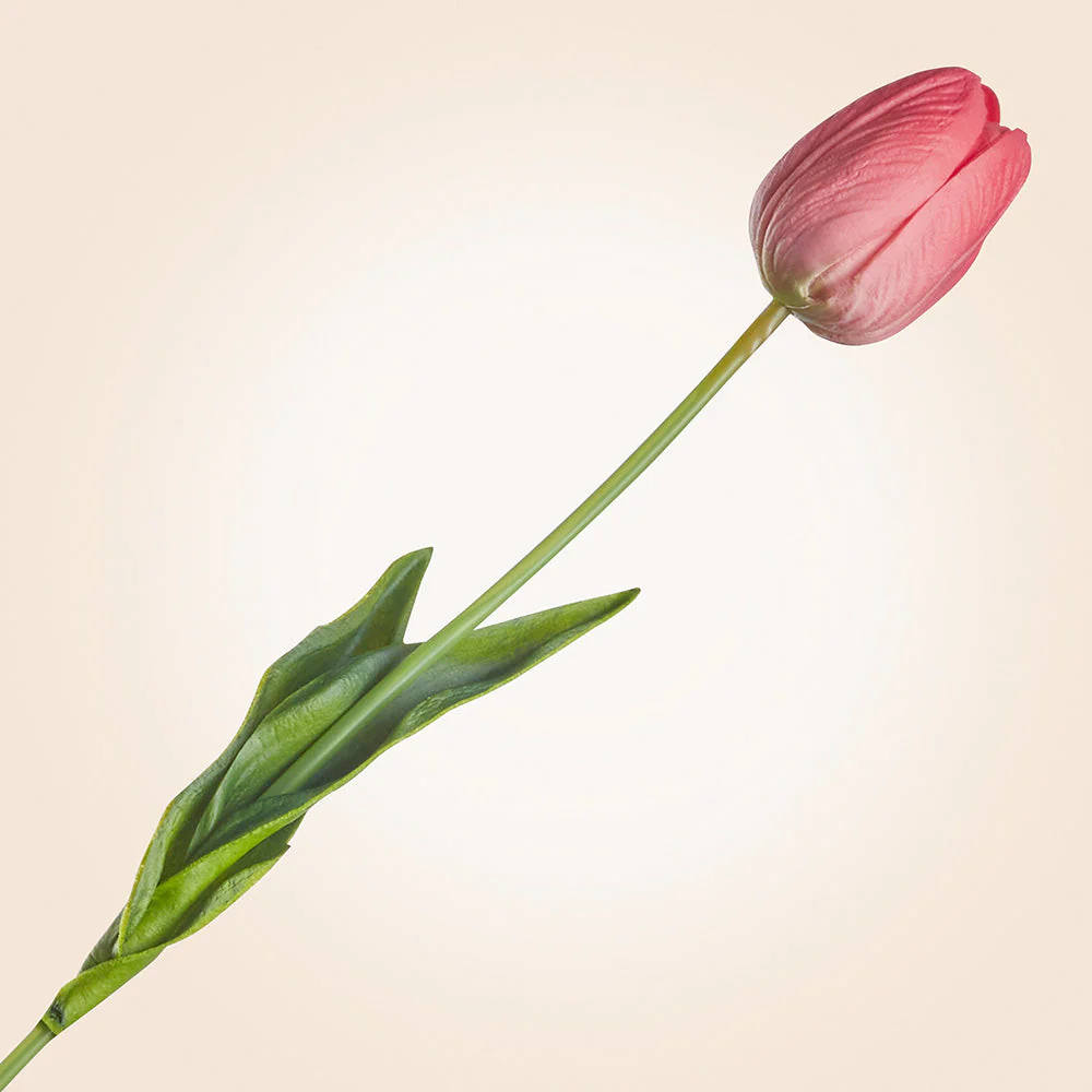 Real Touch Faux Tulip Stem, 15" - Image 4