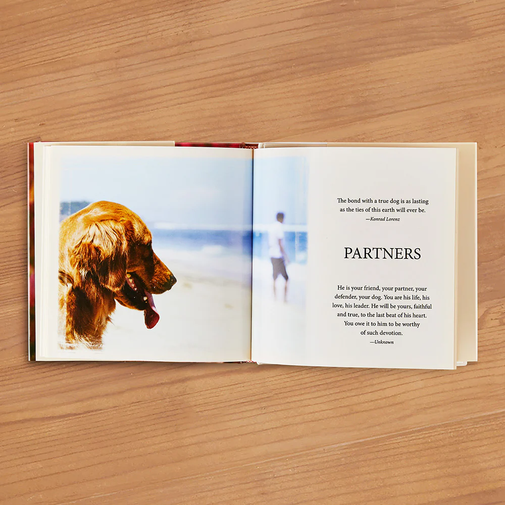 "The Gift of Goldens" by Willow Creek Press - Image 2