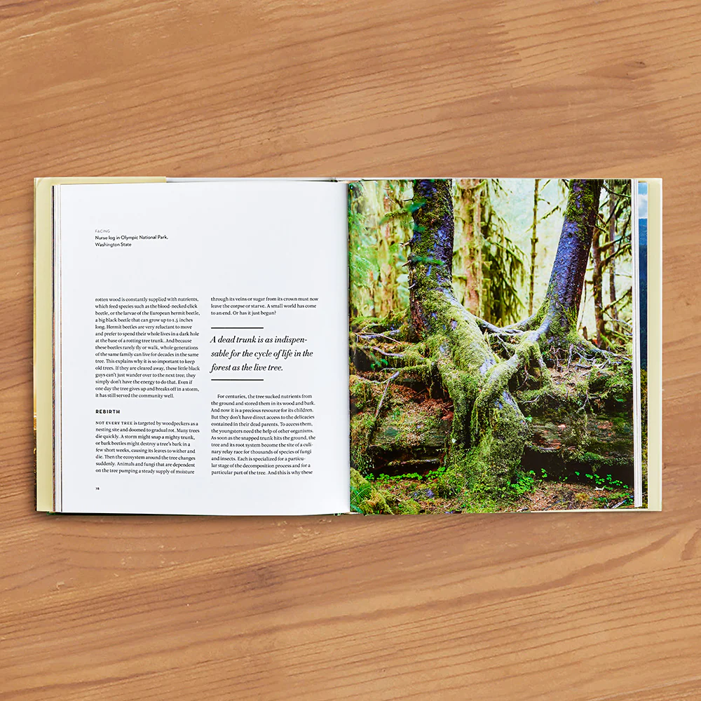 "The Hidden Life of Trees: The Illustrated Edition" by Peter Wohlleben - Image 2