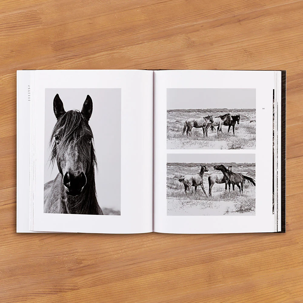 "Wild Horses of Cumberland Island" by Anouk Krantz - Image 2